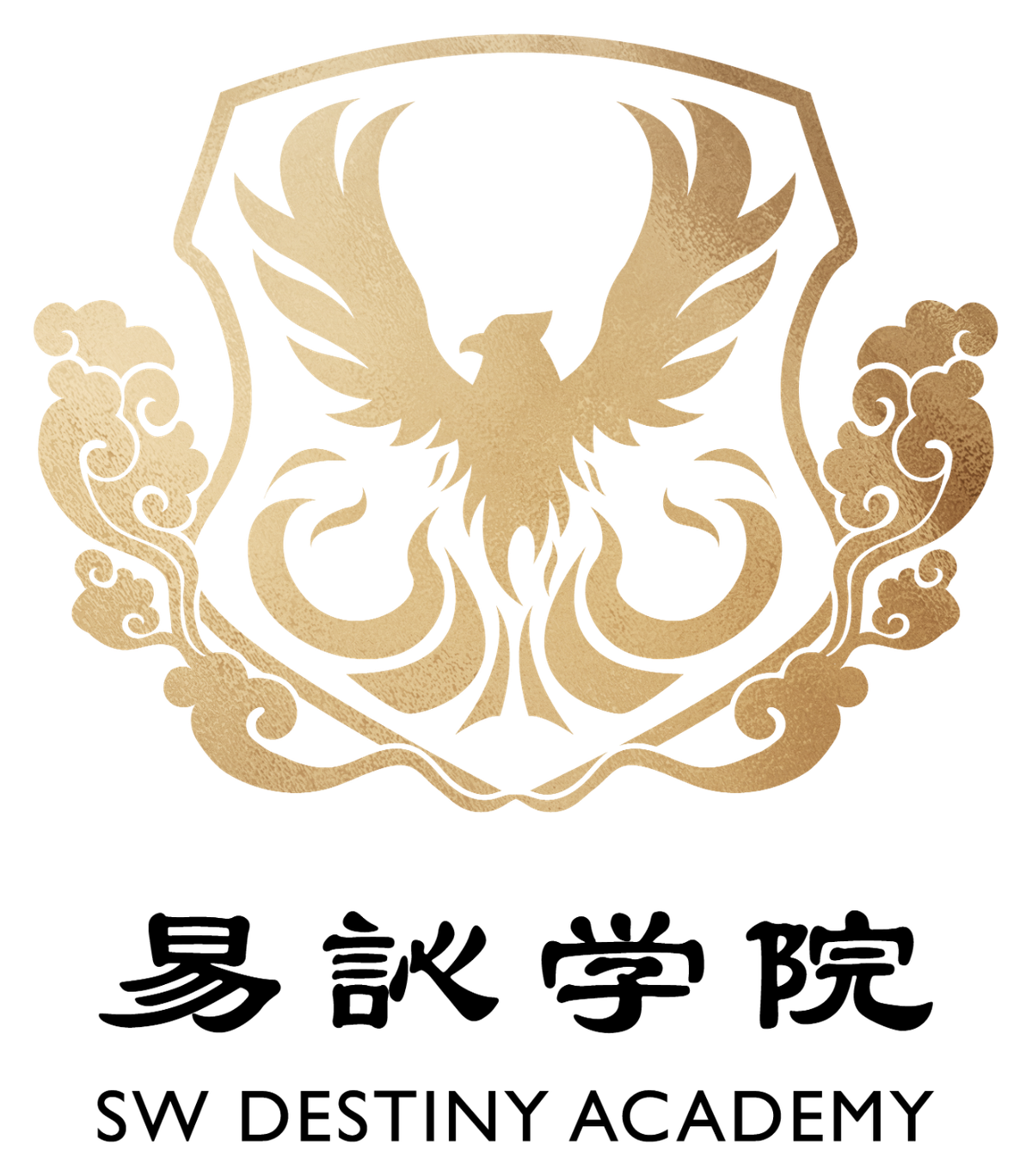 SW Destiny Academy